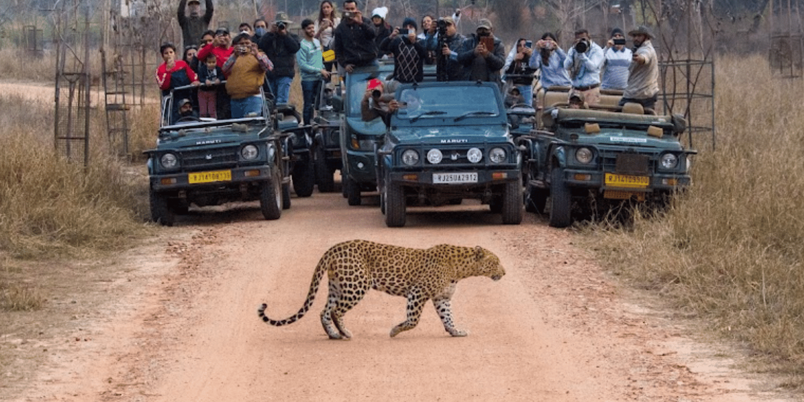 Golden Triangle Tour by Car