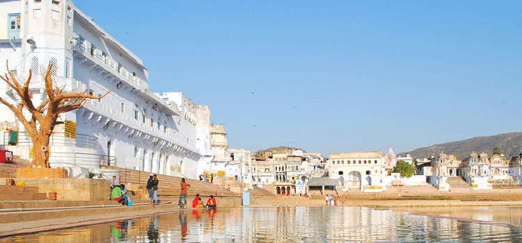 Golden Triangle Tour by Car