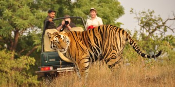 Golden Triangle Tour with Ranthambore